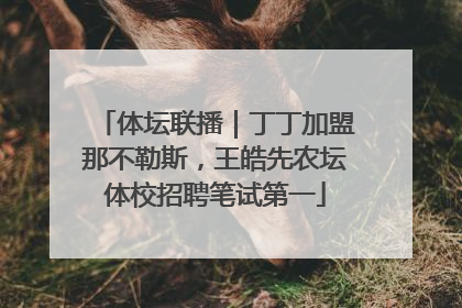 体坛联播｜丁丁加盟那不勒斯，王皓先农坛体校招聘笔试第一